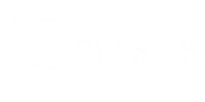 Logo of Celsius featuring a stylized letter C with a small circle above it on the left, followed by the text CELSIUS LIVE FIT in bold letters on a black background.