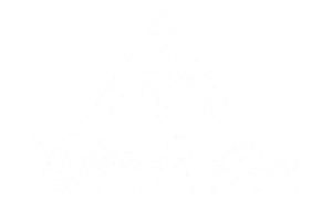 Logo of Tyler & Ace with a stylized letter A and the words Saint Banner below, all in white against a black background.