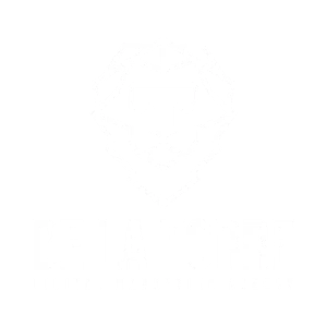 White geometric lion head logo with bold text DE LA TORRE beneath it, followed by smaller text DIGITAL MARKETING AGENCY on a black background.