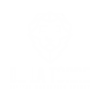 White geometric lion head logo with bold text DE LA TORRE beneath it, followed by smaller text DIGITAL MARKETING AGENCY on a black background.